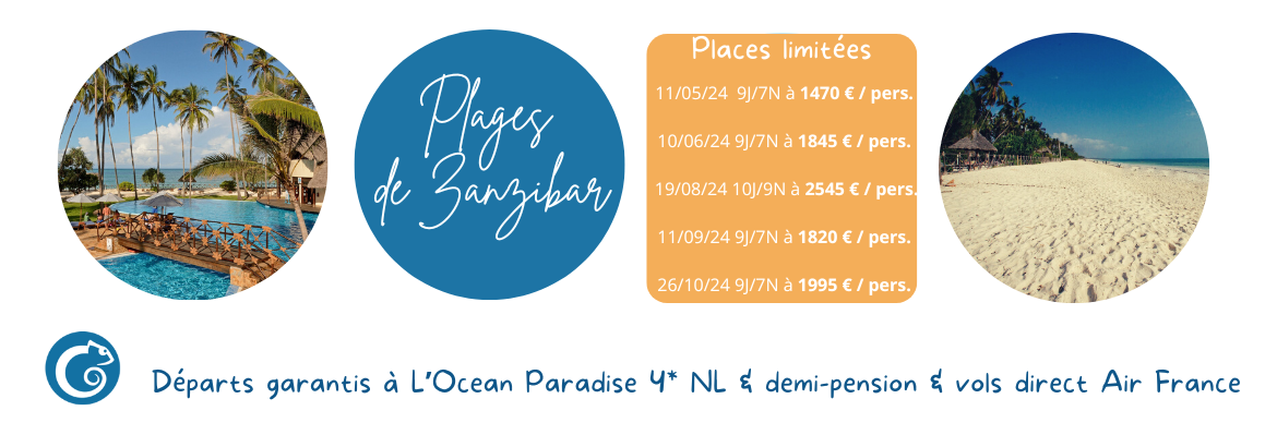 201 - Ocean Paradise 4* DP 